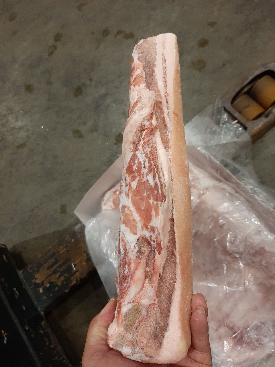 BACHICOSUONSIBAGRO