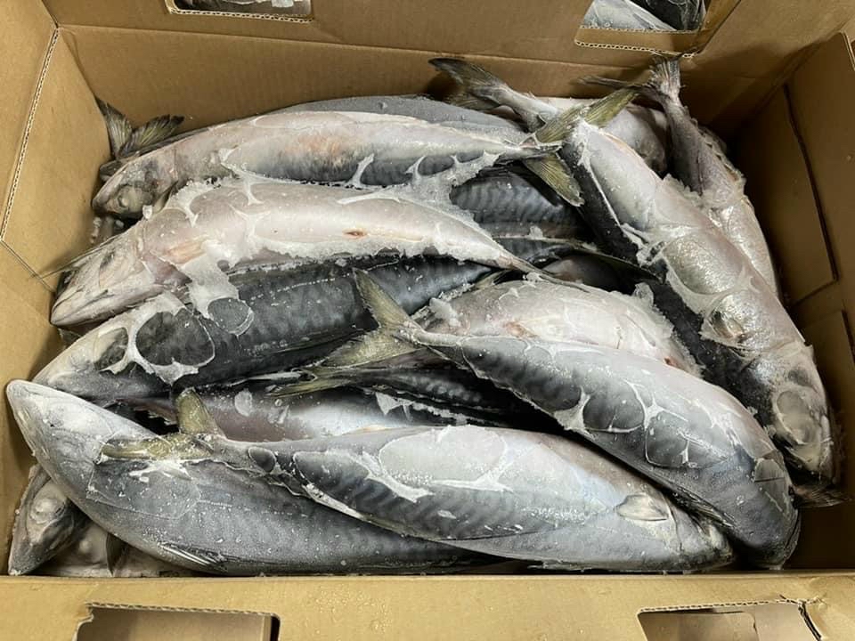 CASABANHAT500UP10KG