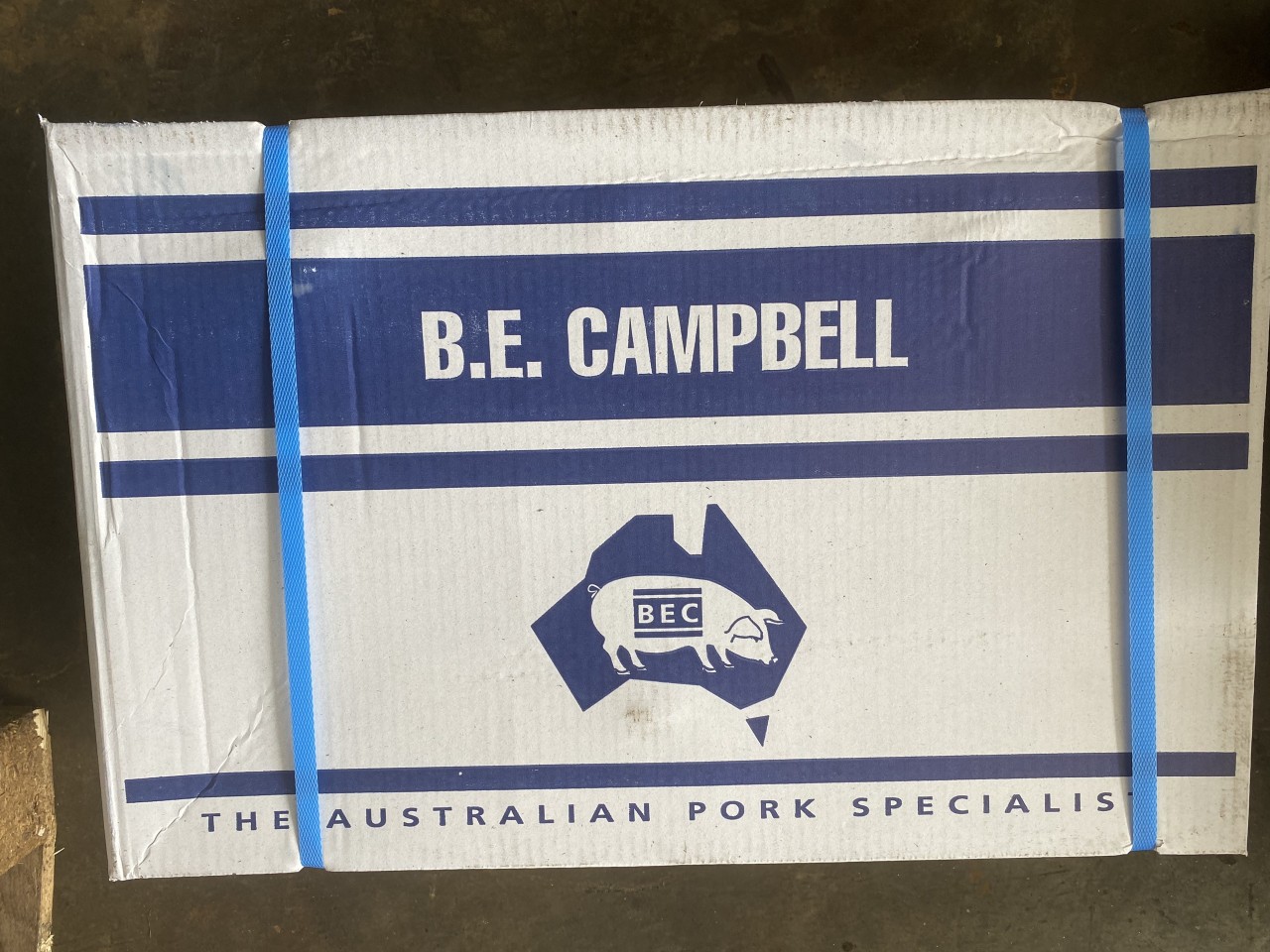 CHÂN GIÒ HEO NGUYÊN TRƯỚC B.E CAMPBELL