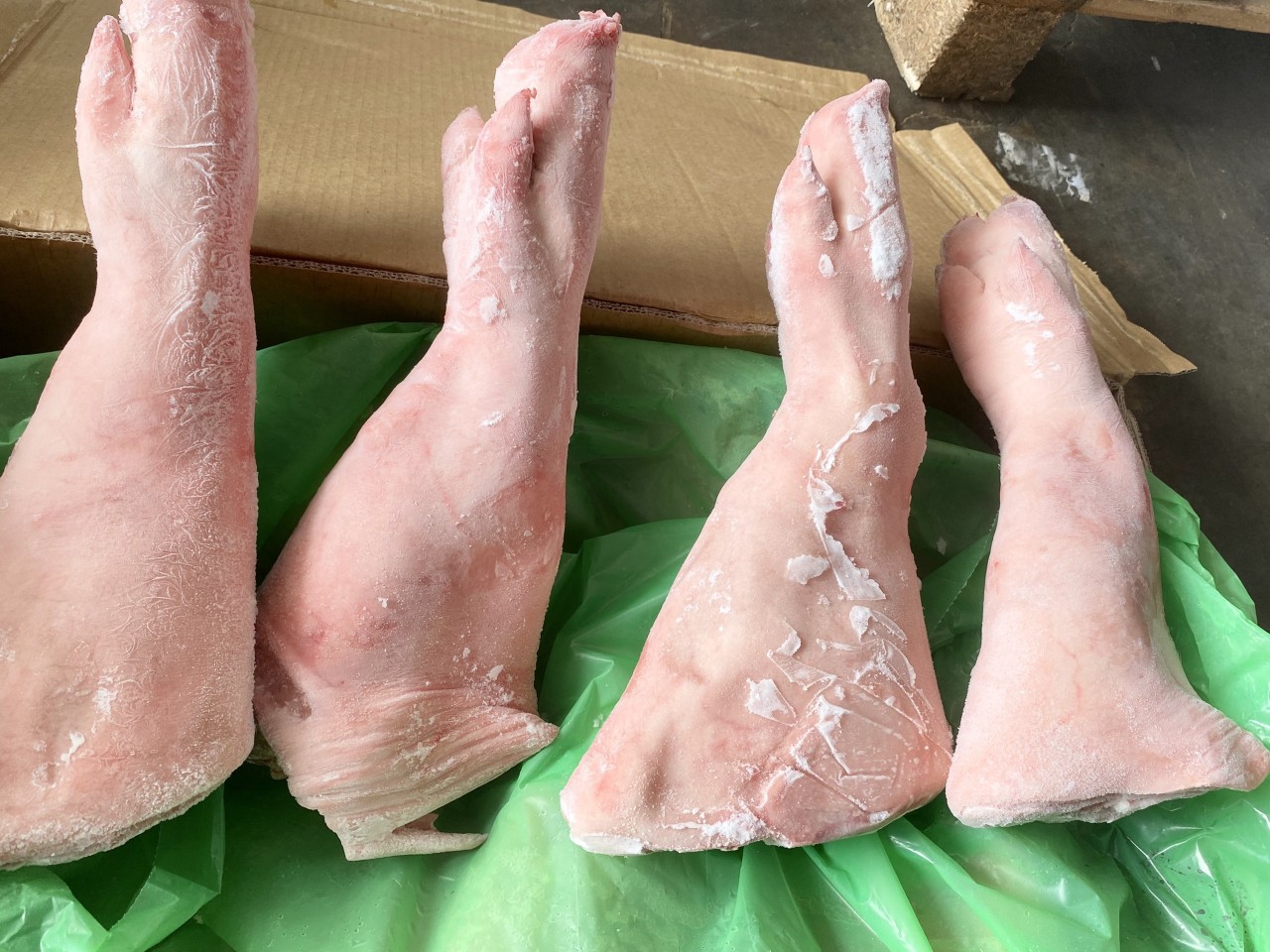 CHÂN GIÒ HEO NGUYÊN TRƯỚC HYLIFE