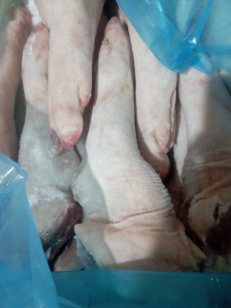 CHÂN GIÒ HEO SAU WOOLWORTH-24,06kg