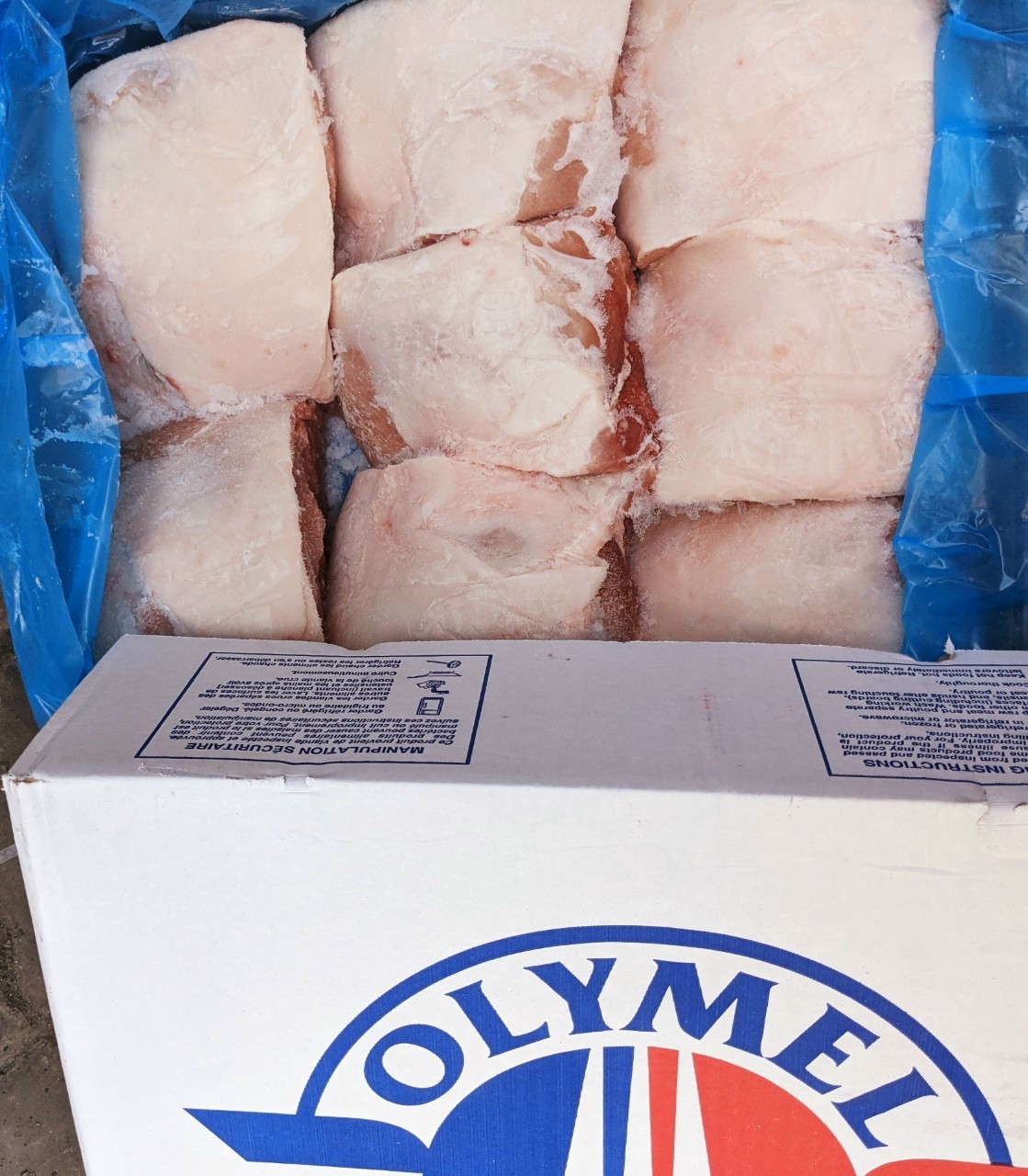 COTLET HEO NGẮN OLYMEL