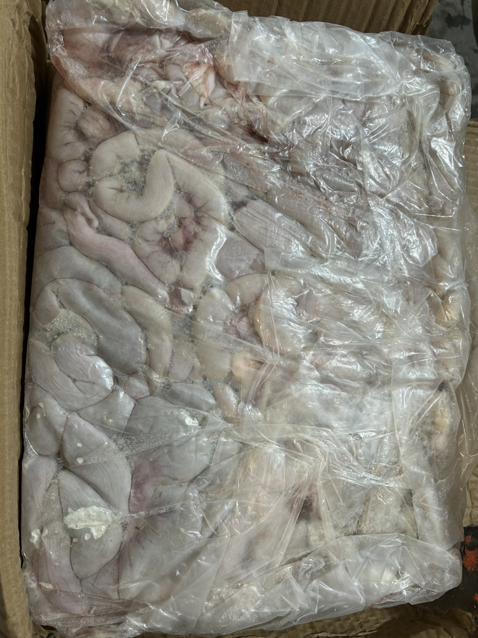 DỒI TRƯỜNG HEO10KG