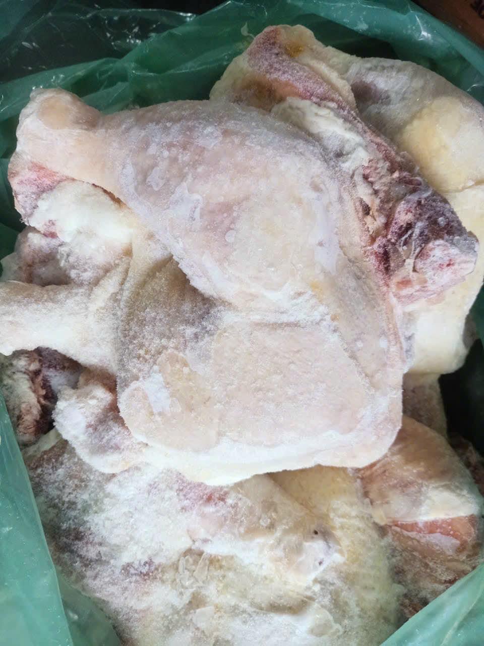 ĐÙI GÀ GÓC TƯ MOUTAIN XANH 7470