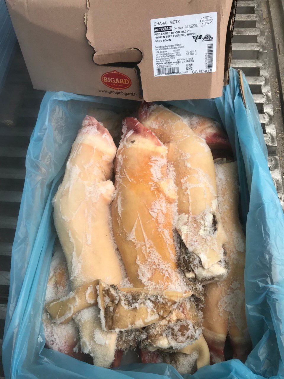 DỰNG BÒ BIGARD - 20KG