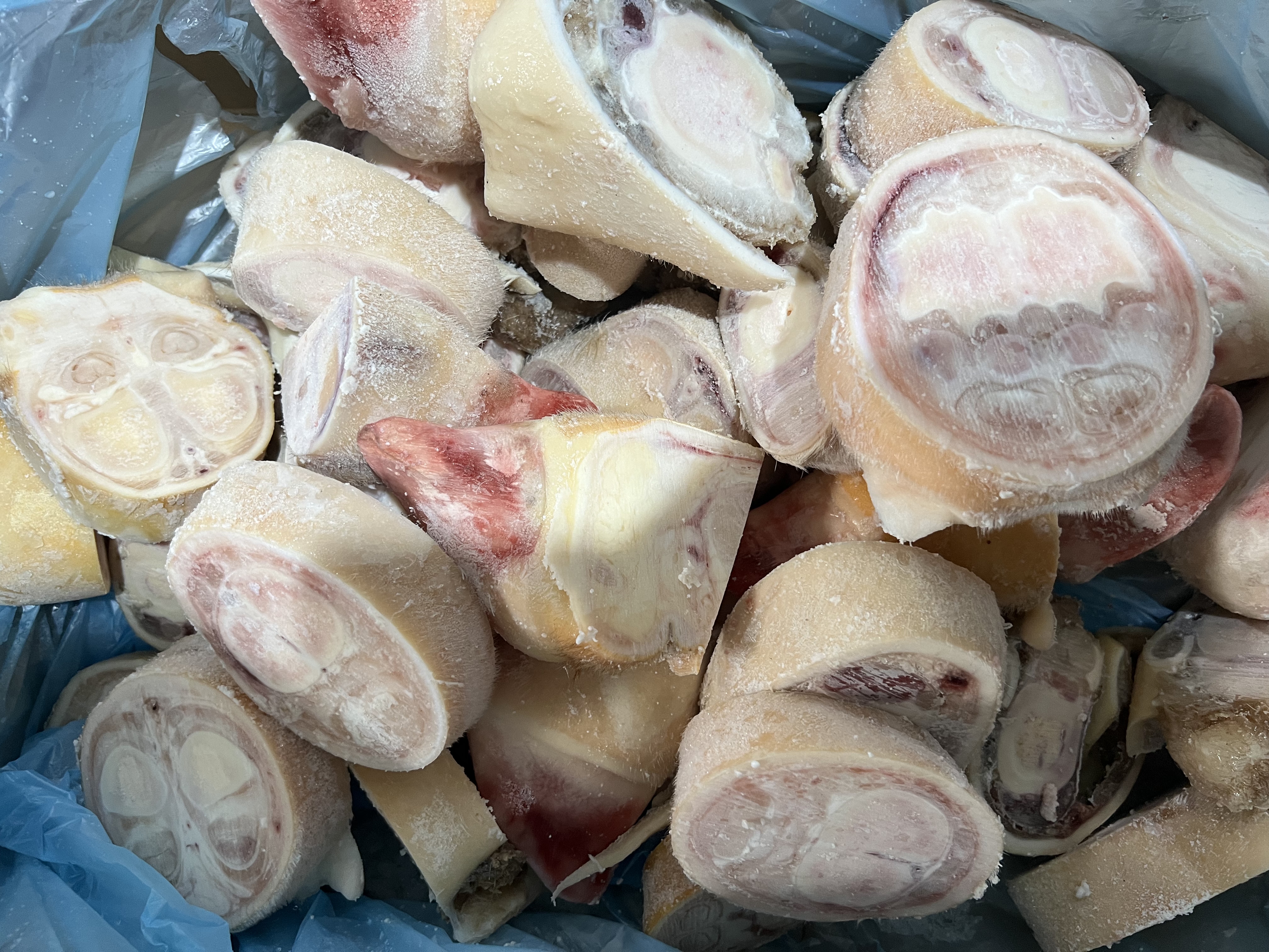 DỰNG BÒ CẮT KHOANH