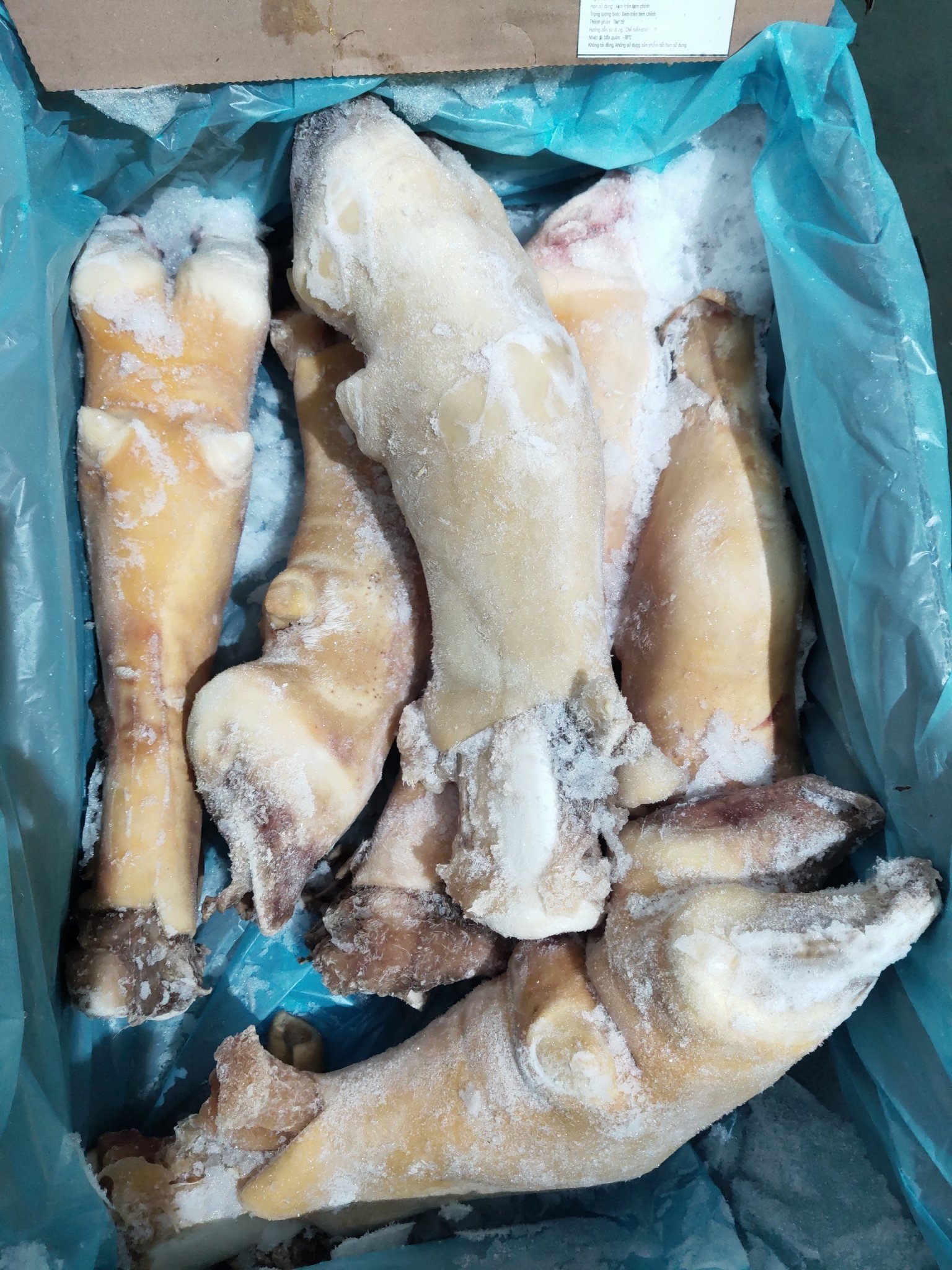 DỰNG BÒ CHARAL