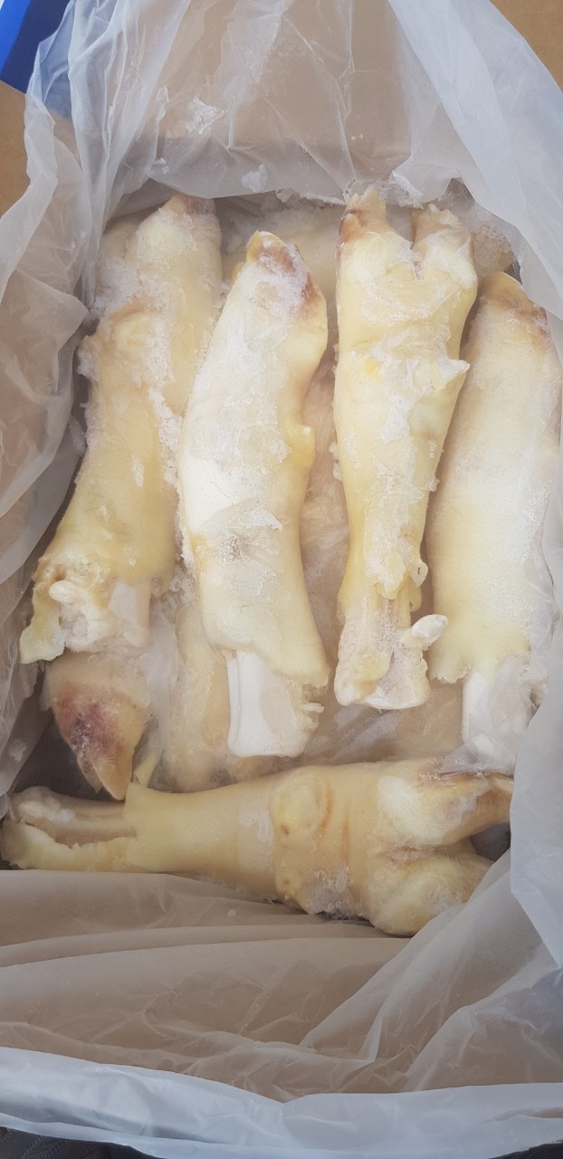 DỰNG BÒ RALPHS