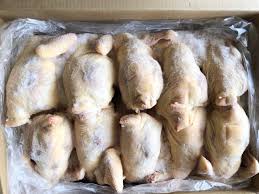 GÀ NGUYÊN CON SINGGREEN 10 CON - 14.86kg