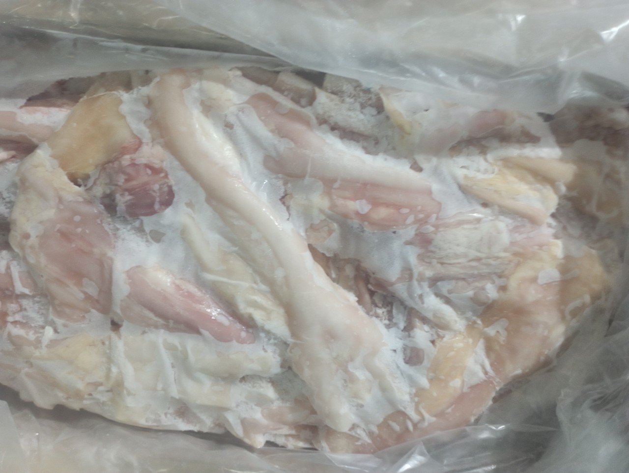 GÂN BÒ MADEKA 18,14KG