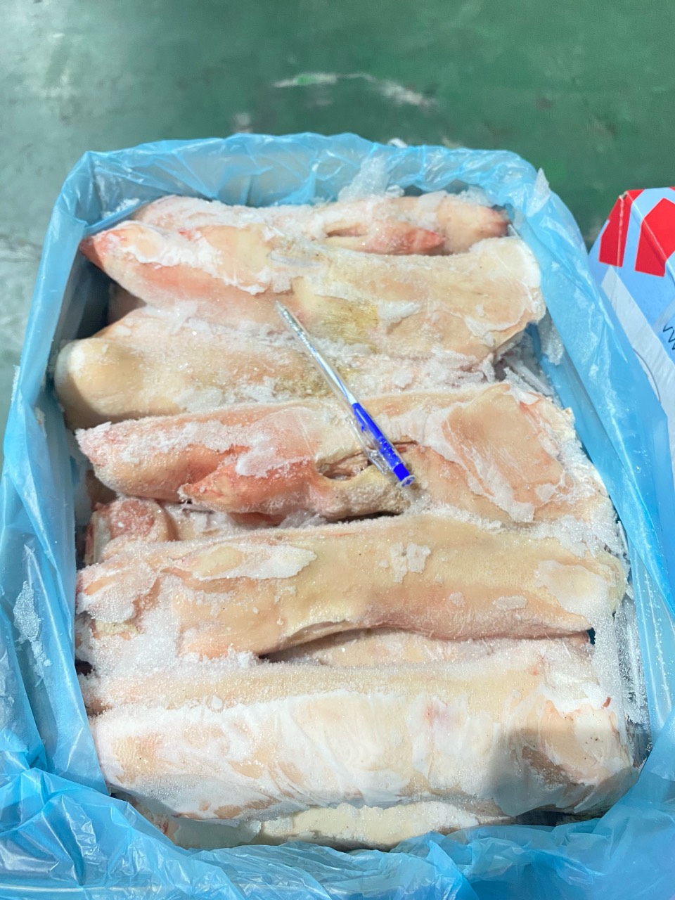 MÓNG HEO SAU 584