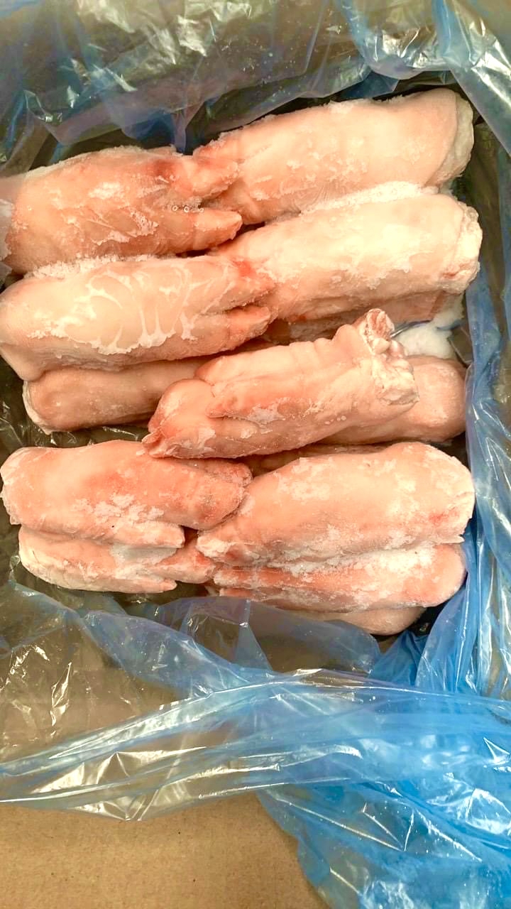 MÓNG HEO TRƯỚC MPK
