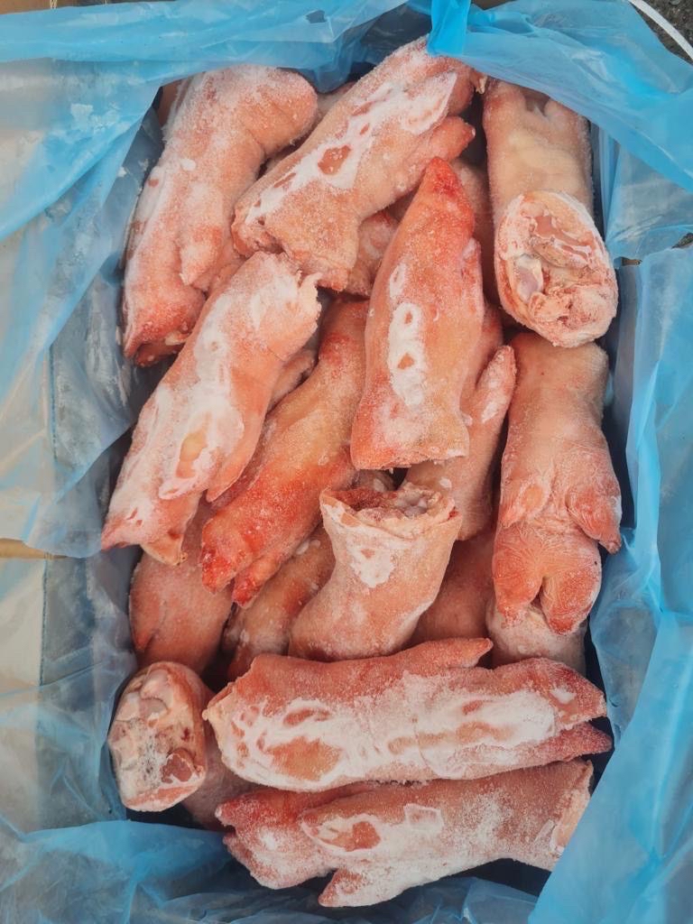 MÓNG HEO TRƯỚC TONNIES