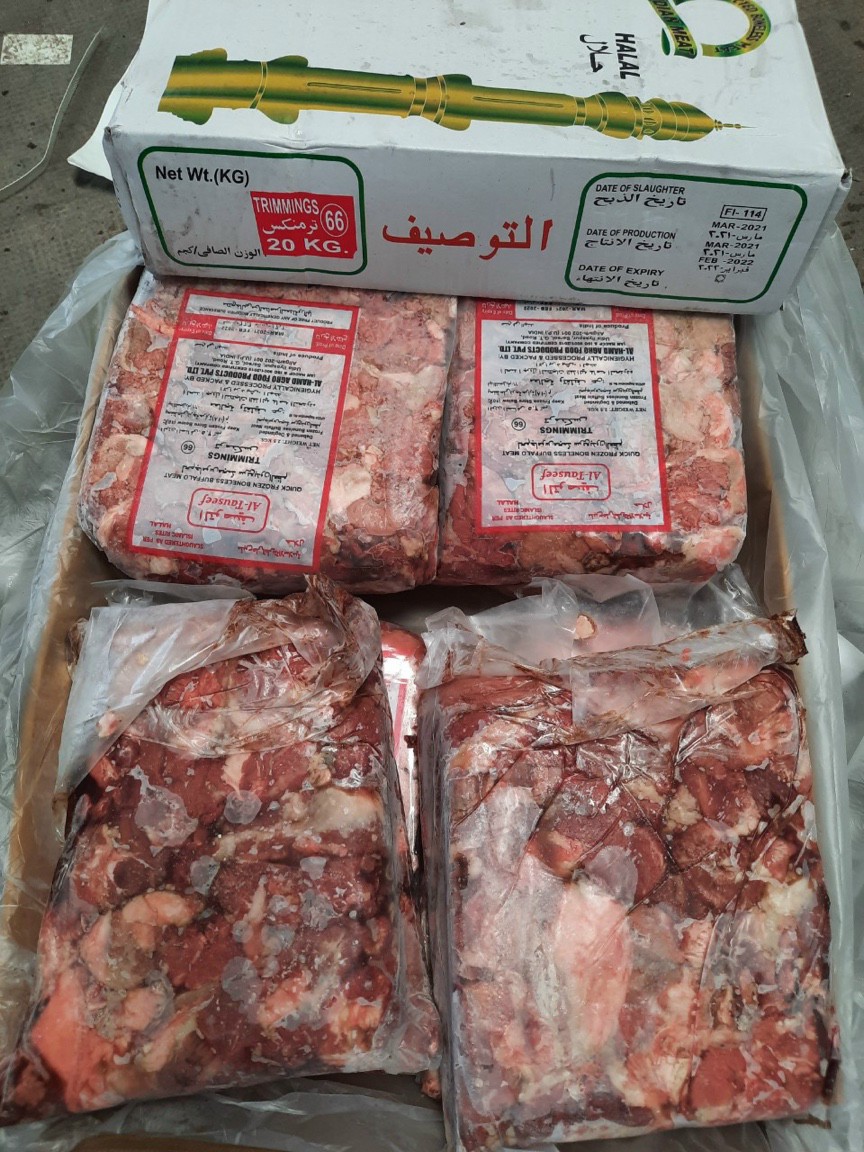 MS 66 TAUSEEF