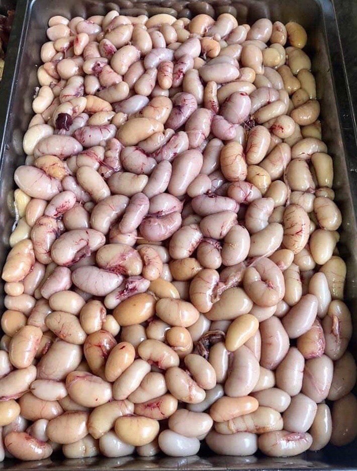 NGỌC KÊ TÂY - 10KG