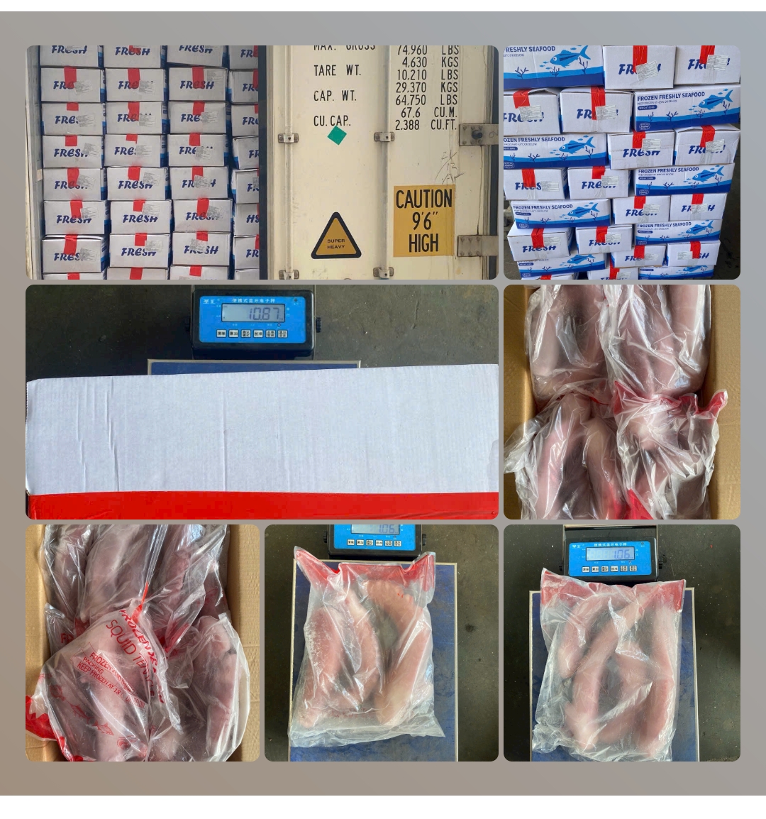 RÂU MỰC NET 4-7
