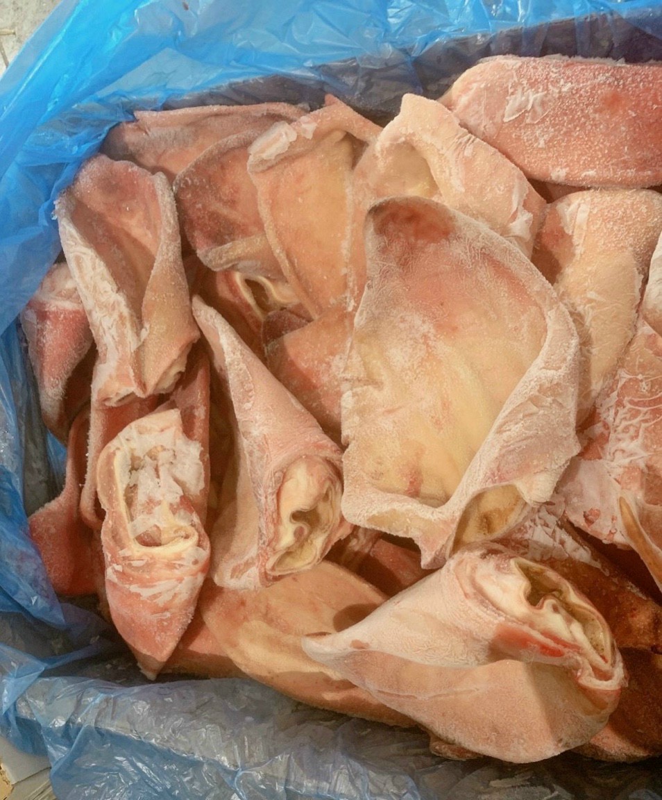 TAIHEOCARNI