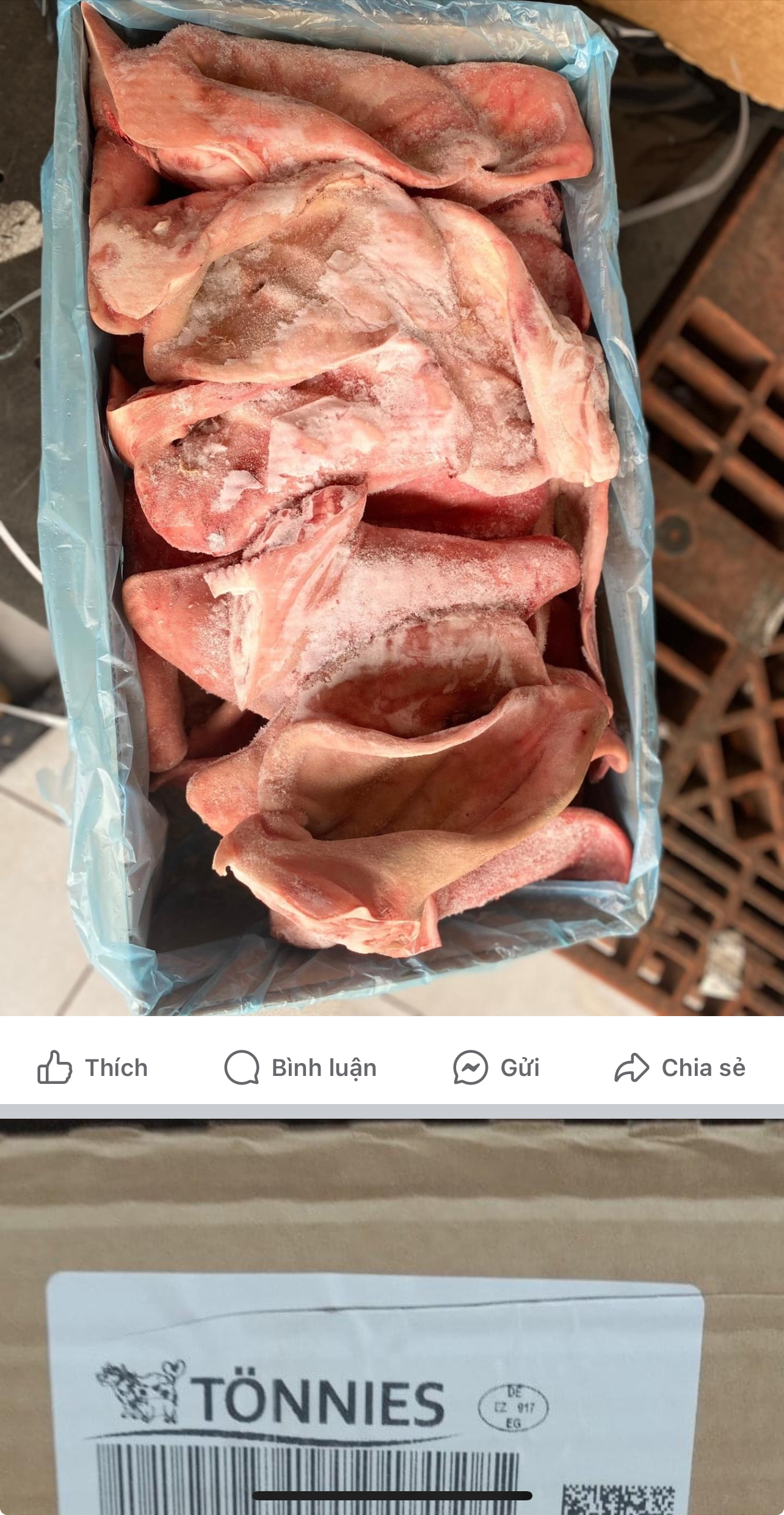 TAI HEO TONNIES