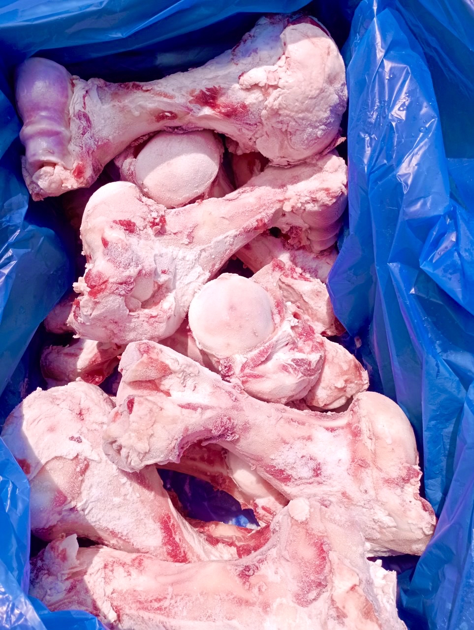 XUONGONGBOHUMERUSMIRATOP24.74KG