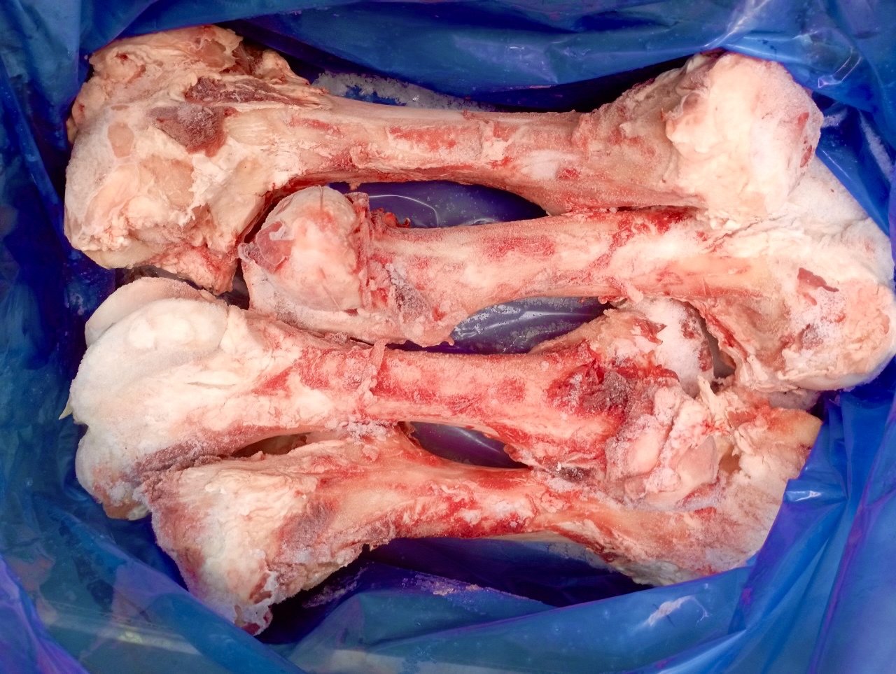 XƯƠNG ỐNG BÒ NGUYÊN OAKEY 12.1KG