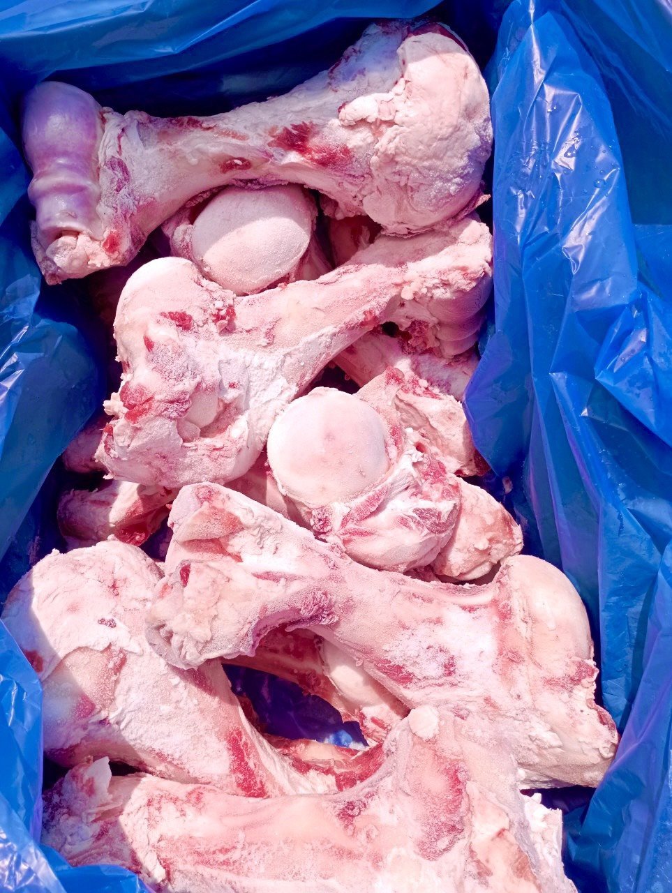 XUONGONGBOHUMERUSMIRATOP567.1KG