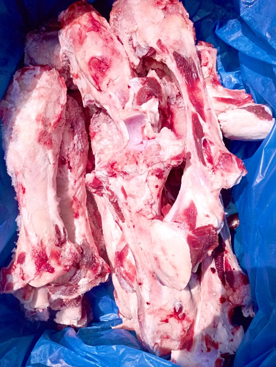 XUONGONGBORADIUSMIRTOP531.4KG