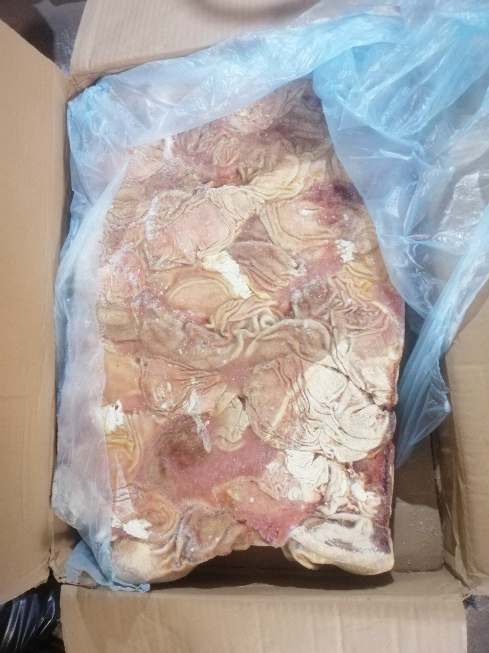 Bao tử heo Hà Lan 8088 12KG