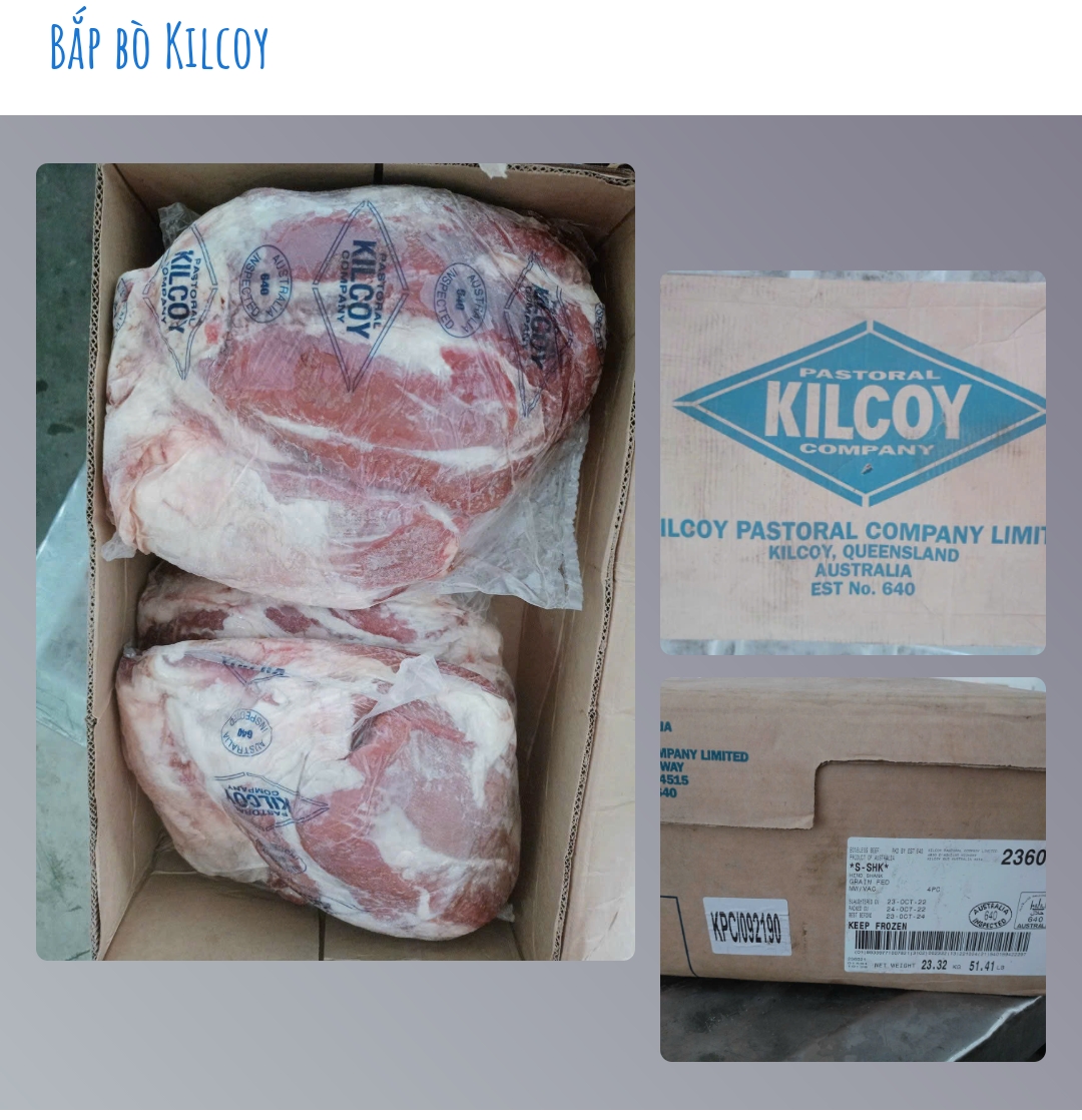 BẮP BÒ KILCOY ~20KG