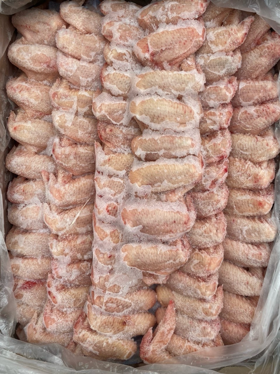 Cánh gà XL Argen Enercoop - 15kg