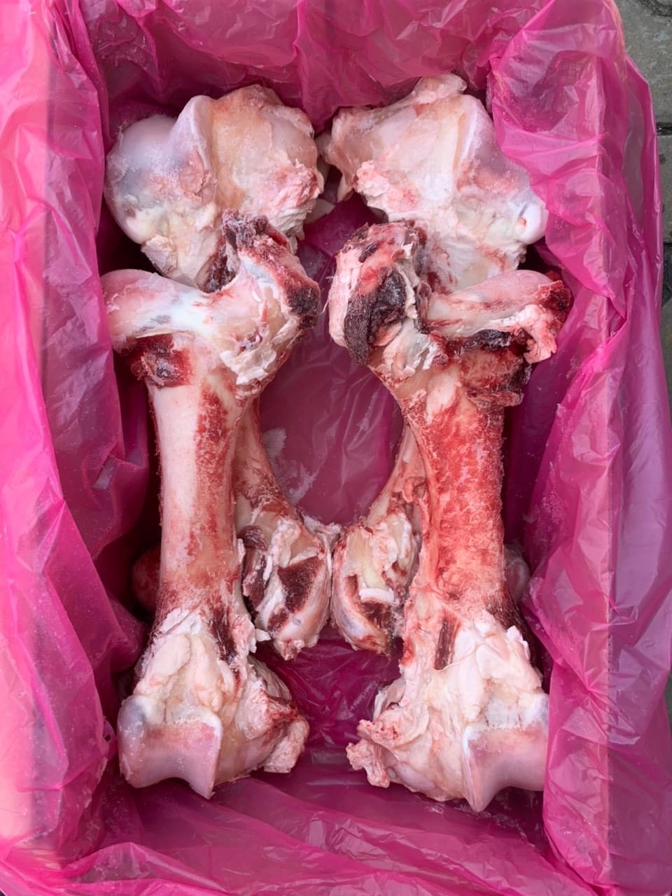 XƯƠNG ỐNG BÒ NGUYÊN KIKOY FEMUR BONE 974 ~ 13.1KG