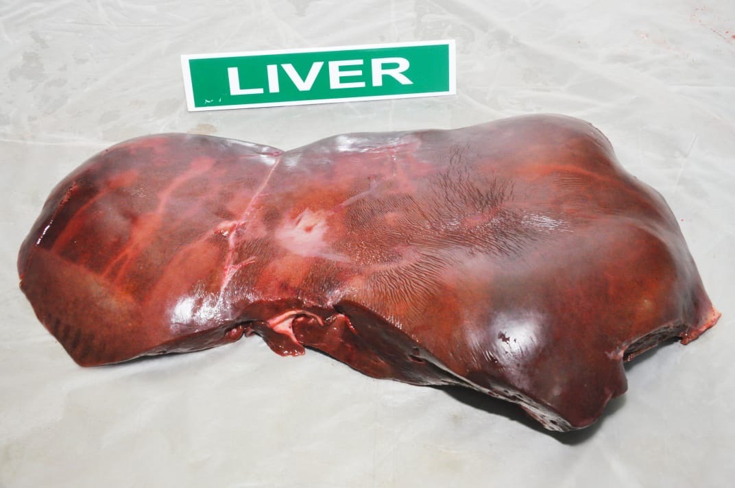 GAN BÒ MADEKA 15,4KG